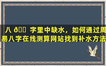 八 🐠 字里中缺水，如何通过周易八字在线测算网站找到补水方法 🐺